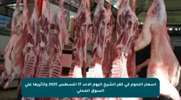 أسعار اللحوم في كفر الشيخ اليوم الأحد 17 أغسطس 2025 وتأثيرها على السوق المحلي